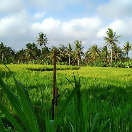 Uma Loka Villa By Shm Ubud Dış mekan fotoğraf