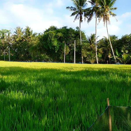 Uma Loka Villa By Shm Ubud Dış mekan fotoğraf