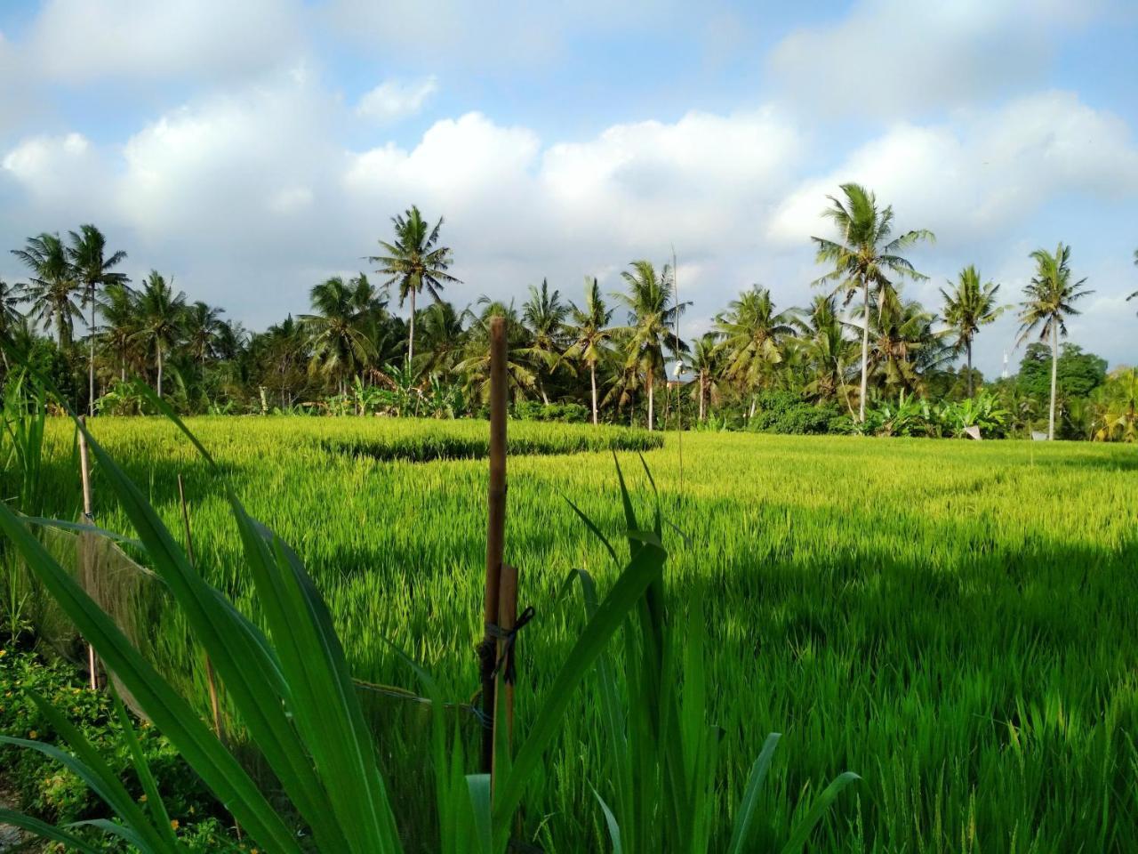 Uma Loka Villa By Shm Ubud Dış mekan fotoğraf