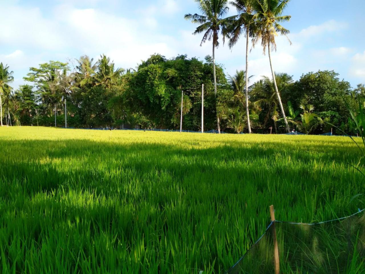 Uma Loka Villa By Shm Ubud Dış mekan fotoğraf